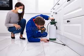 Best Fumigation Services  in North Plainfield, NJ